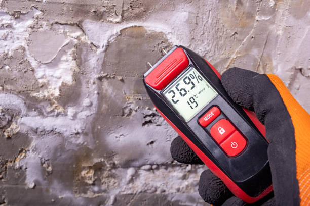 Best Mold Testing and Removal  in Platte City, MO